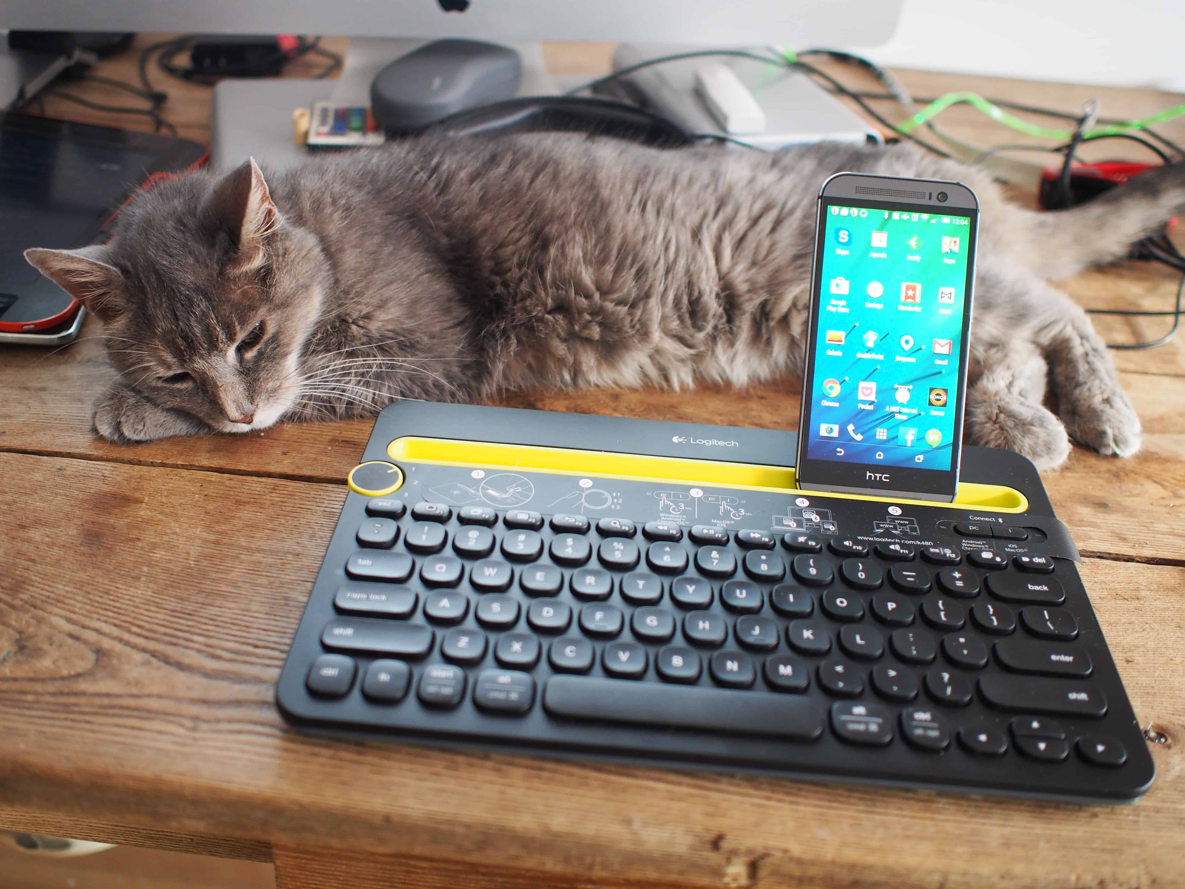 clavier sans fil bluetooth Logitech k480 et mon chat