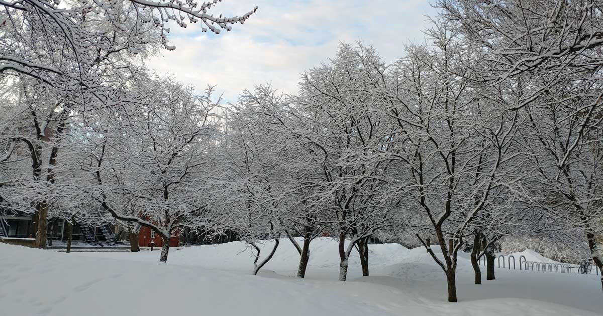 Paisible tempête de neige hivernale Québec