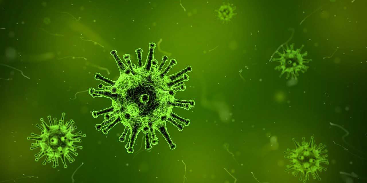 virus coronavirus